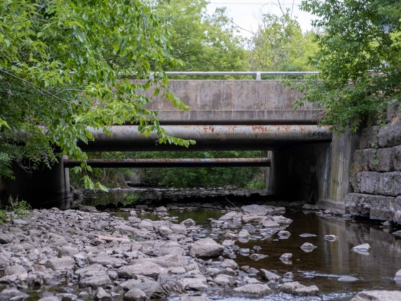 A photo of a bridge going over Jackson Creek in the summer.