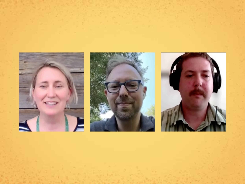 Three photos on yellow background