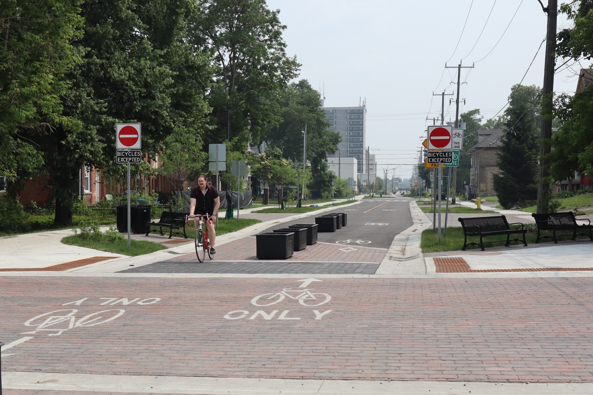 Photo shows a cyclist crossing the intersection of Bethune Street and Brock Street on a sunny day.