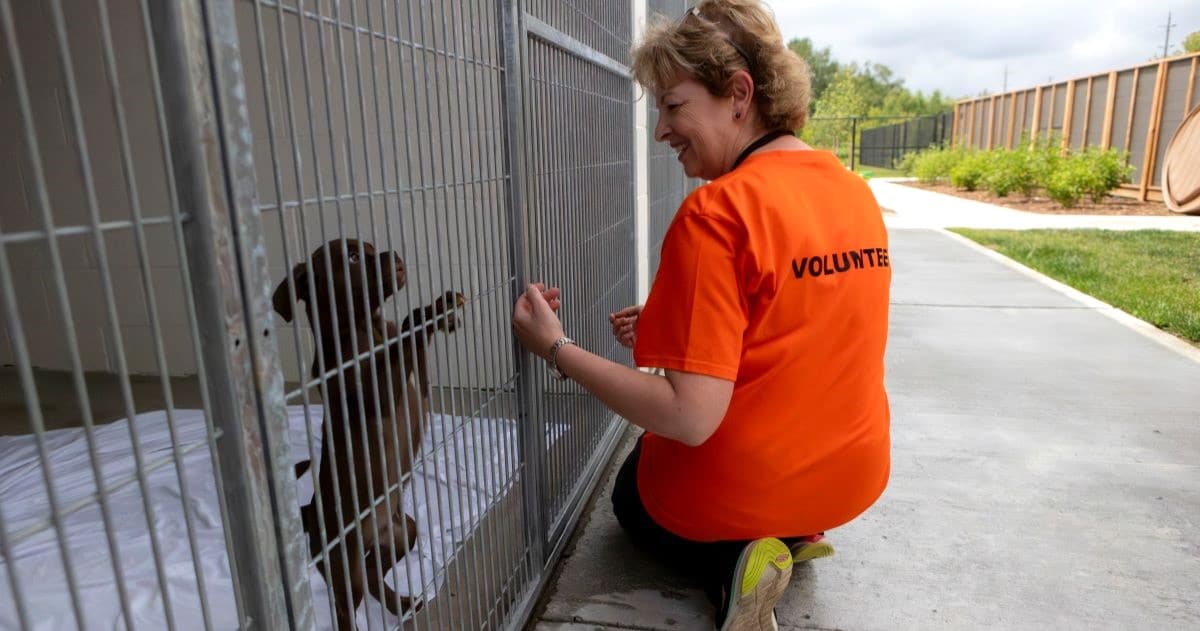 A volunteer with a puppy at Peterborough Humane Society